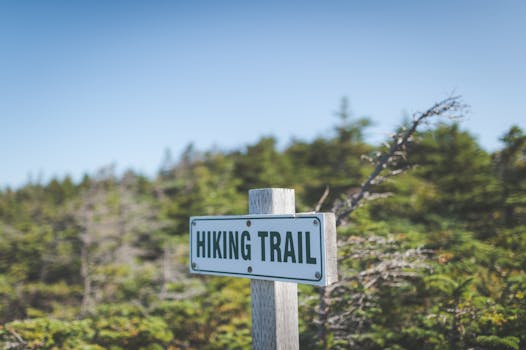 Ultimate Guide to Hiking the Appalachian Trail: Tips & Essentials