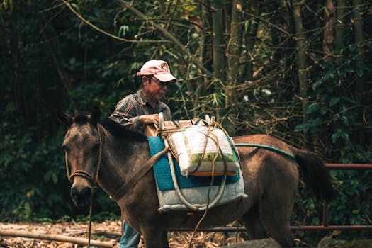 Ultimate Guide to Eco-Friendly Travel: Tips for Sustainable Journeys