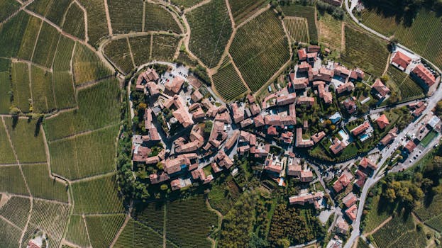 Global Vineyard Guide: Top Wine Regions & Experiences for Travelers