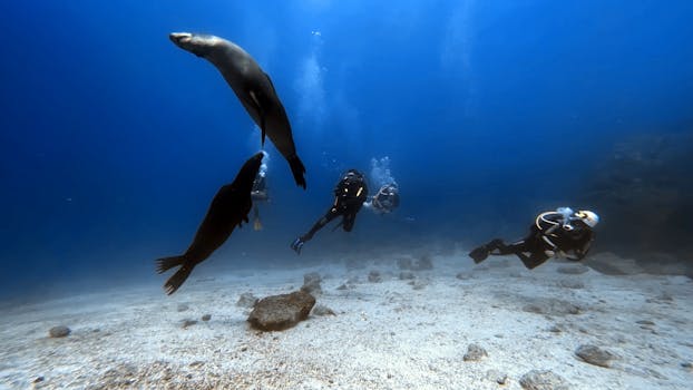 Top Scuba Diving Destinations: Explore the World's Best Underwater Spots