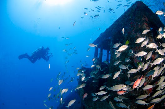 Discover the World's Best Scuba Diving Sites: A Comprehensive Guide