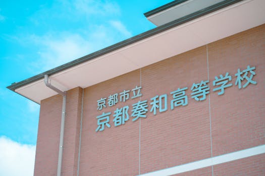 Global Street Food Safety Guide: How to Eat Well Without Worry