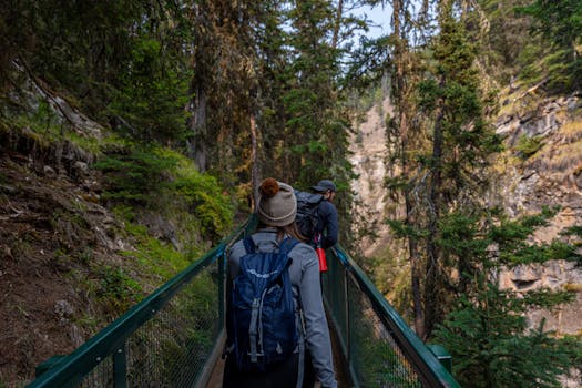 Top National Parks for Adventure Seekers to Explore in 2024