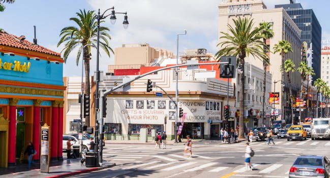 Exploring Hollywood's Culinary Delights: Your Guide to Hidden Foodie Havens