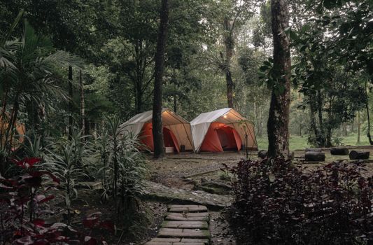 2024's Best Outdoor Festivals for Nature Lovers: A Must-Experience Guide